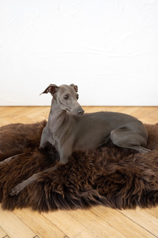 Square or Rectangular Natural Sheepskin Pet Mat – Brown