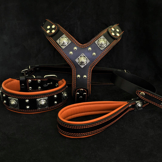 Eros Leather Set – Harness, Collar & Leash (Black & Orange
