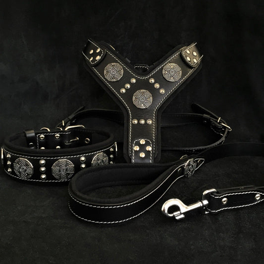 Maximus Silver Leather Set – Harness, Collar & Leash (Black)