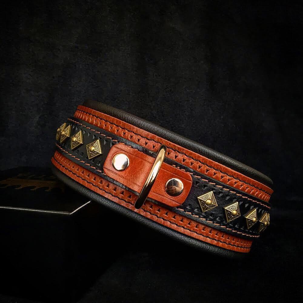 Balteus Brown Leather Collar – Old Brass Studs