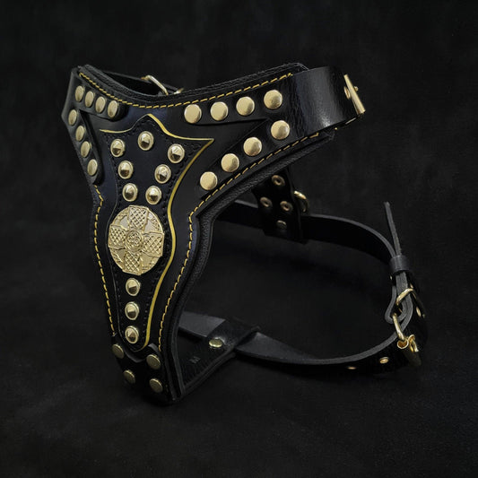 Maximus Leather Harness – Medium Size