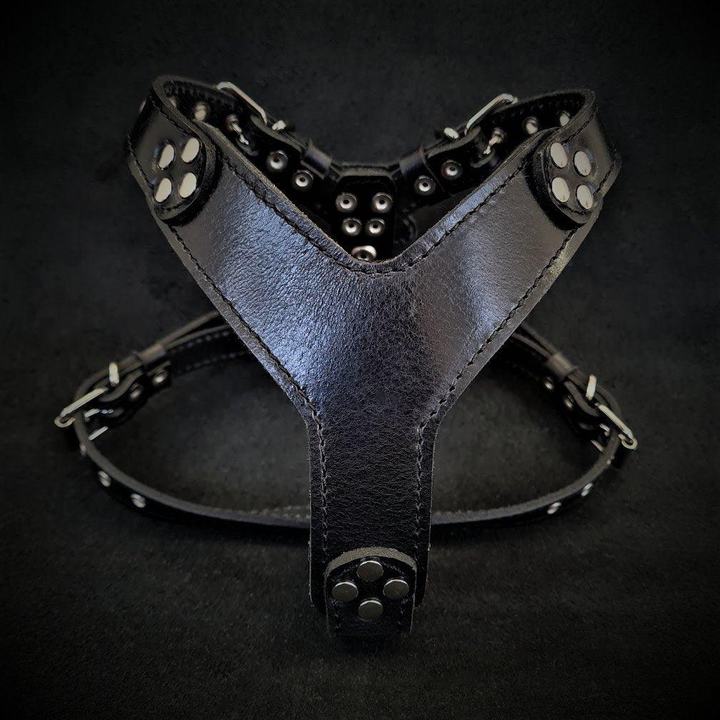 “Origine” Harness – Black Edition