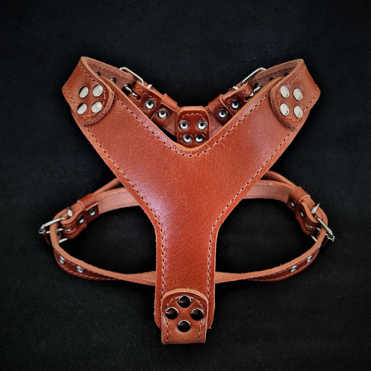 “Origine” Harness – Brown Edition