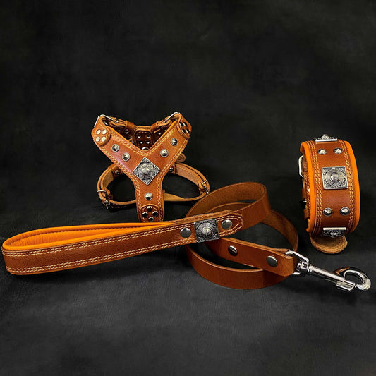 Eros Leather Set – Harness, Collar & Leash (Brown)