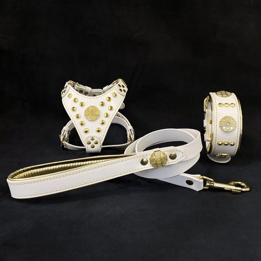 Maximus White & Gold Leather Set – Harness, Collar & Leash