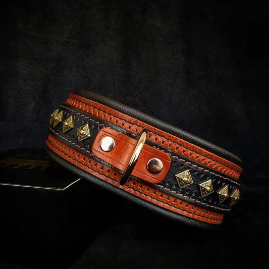 Balteus Brown Leather Collar – Old Brass Studs